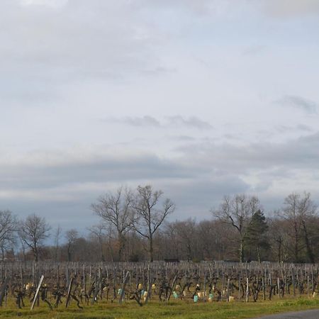 Maison Bertineau Proche Saint-Emilion Néac 外观 照片