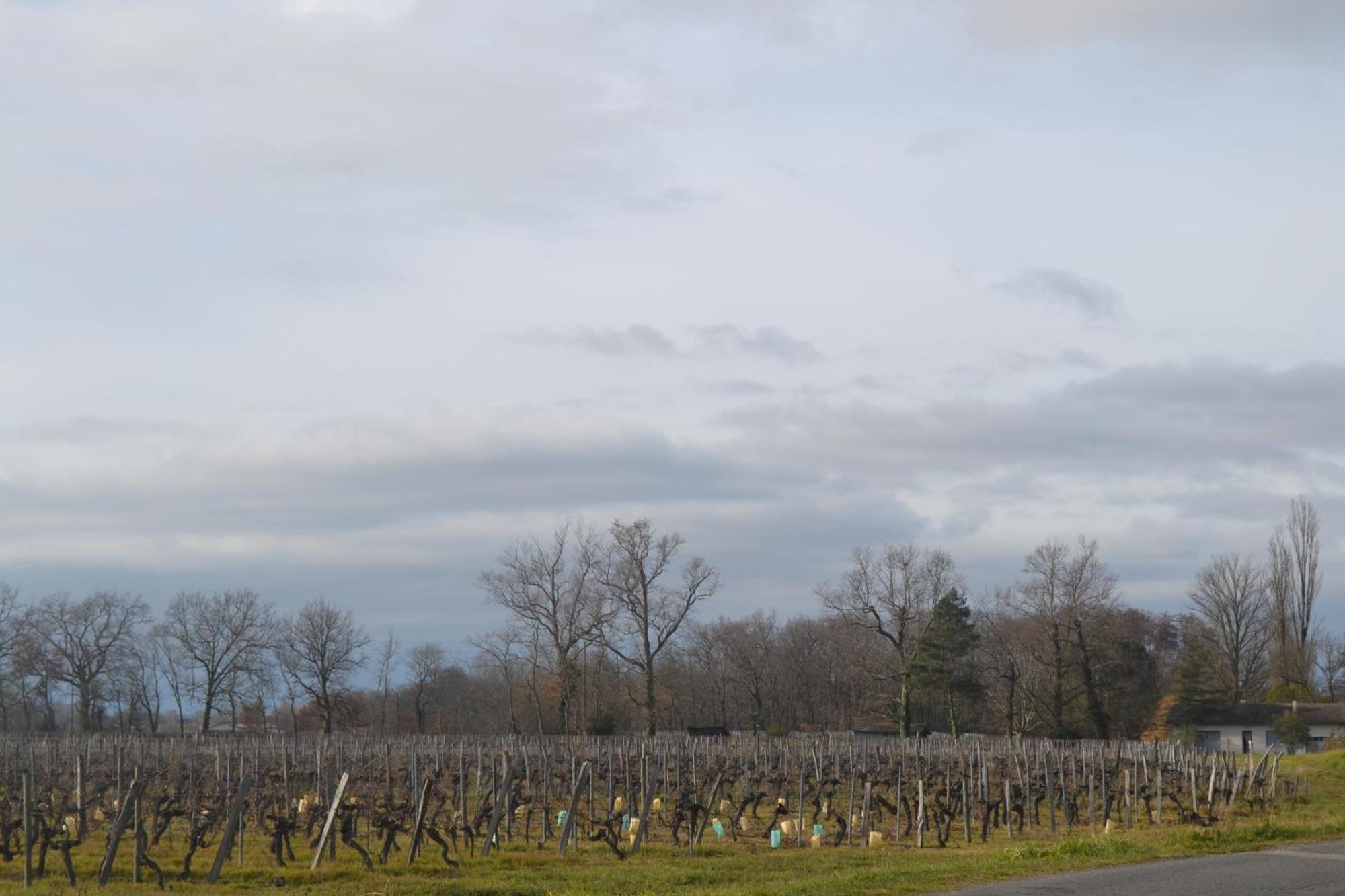 Maison Bertineau Proche Saint-Emilion Néac 外观 照片
